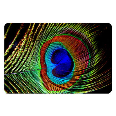 Famdecor Short Plush Material Peacock Feather Printed Doorma