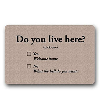 Famdecor Short Plush Material Do you live here Printed Doorm